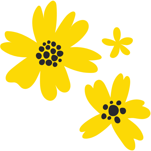 바바코 노란미나리